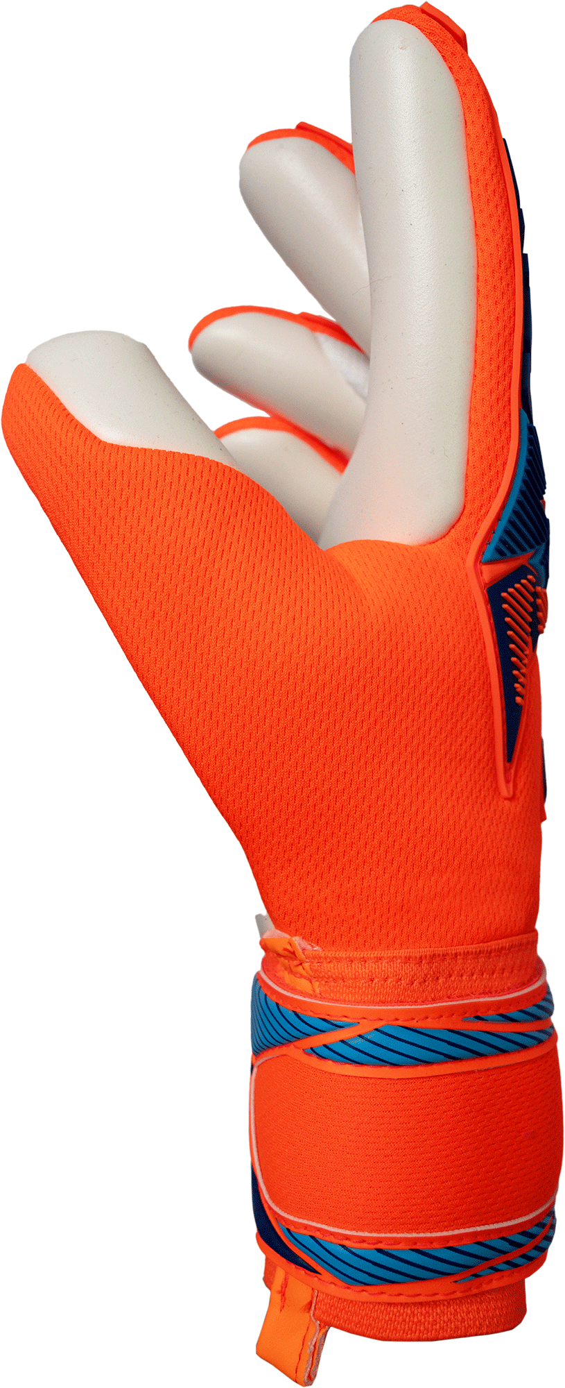 GUANTES DE PORTERO REUSCH ATTRAKT FREEGEL ADVANCE