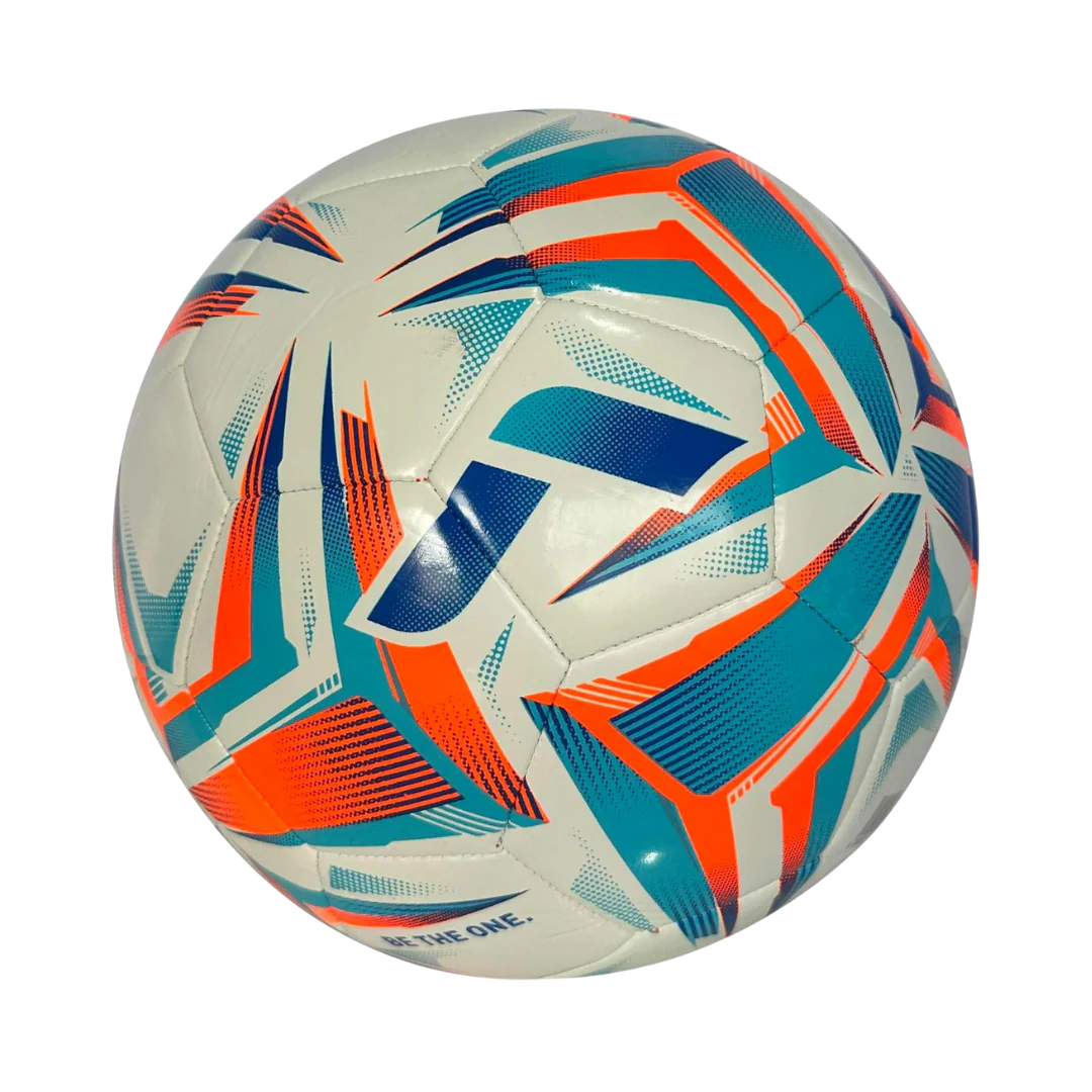 BALON DE FUTBOL REUSCH SILVER