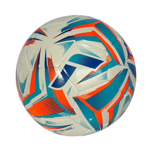 BALON DE FUTBOL REUSCH SILVER